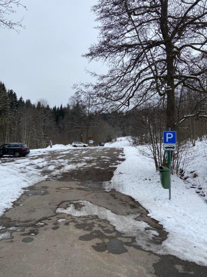 Gemuetliche Ferienwohnung Evieline In Todtmoos Buitenkant foto