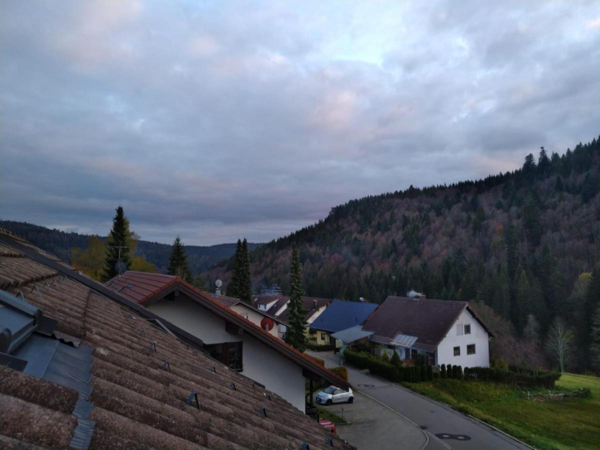 Gemuetliche Ferienwohnung Evieline In Todtmoos Buitenkant foto