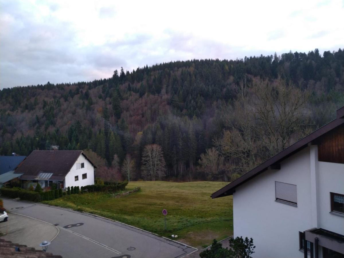 Gemuetliche Ferienwohnung Evieline In Todtmoos Buitenkant foto