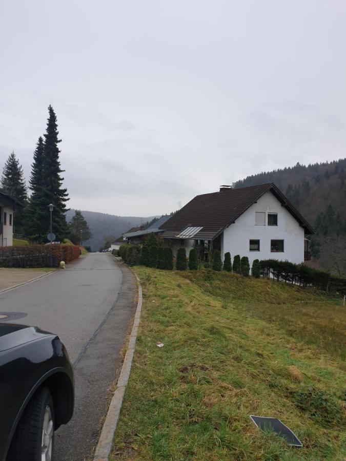 Gemuetliche Ferienwohnung Evieline In Todtmoos Buitenkant foto